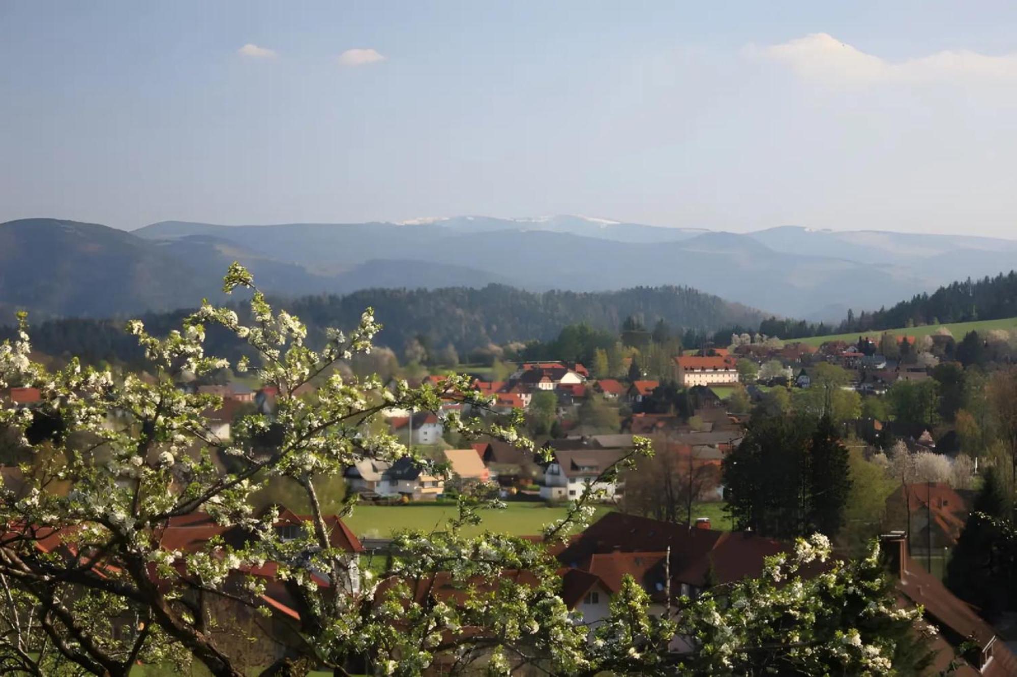 Ferien Auf Dem Steingrubenhof Apartment Sankt Peter Ngoại thất bức ảnh